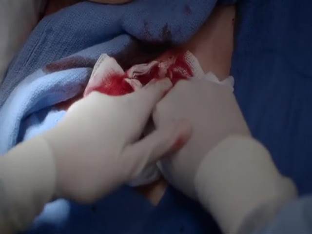 12 сезон 12 кадр 3