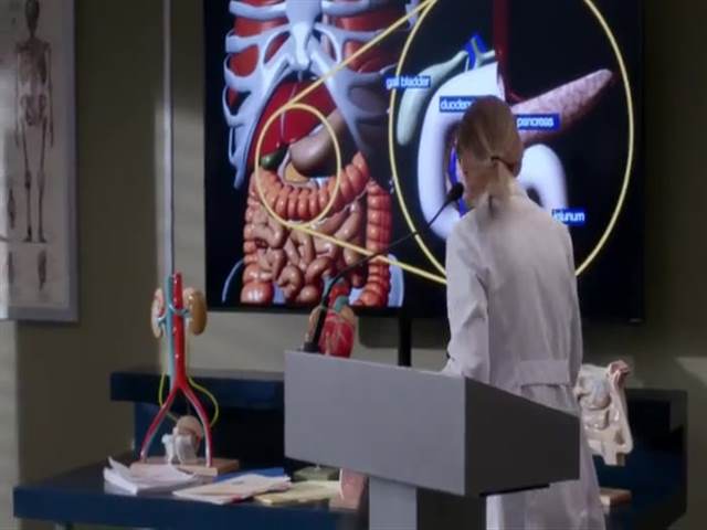 Анатомия страсти 13 сезон 17 серия