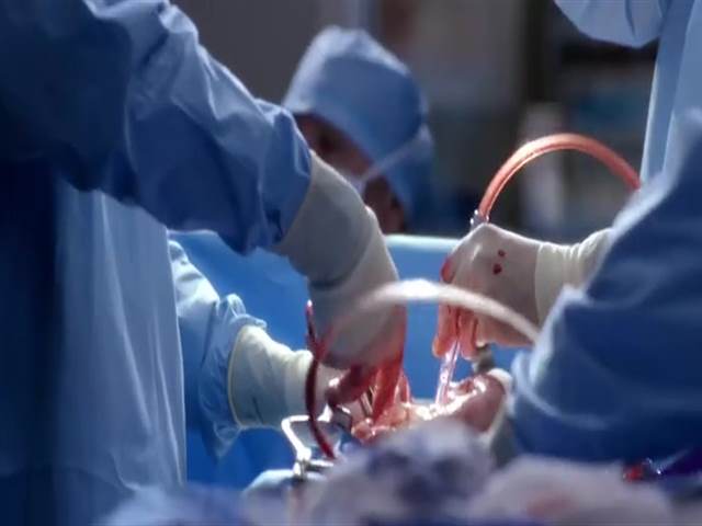 13 сезон 9 кадр 5