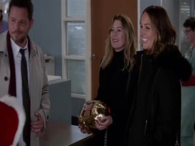 Анатомия страсти 15 сезон 12 серия