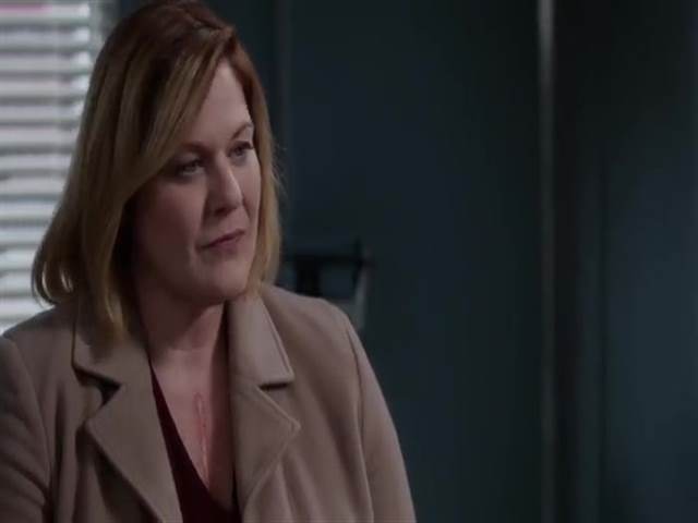 Анатомия страсти 15 сезон 13 серия