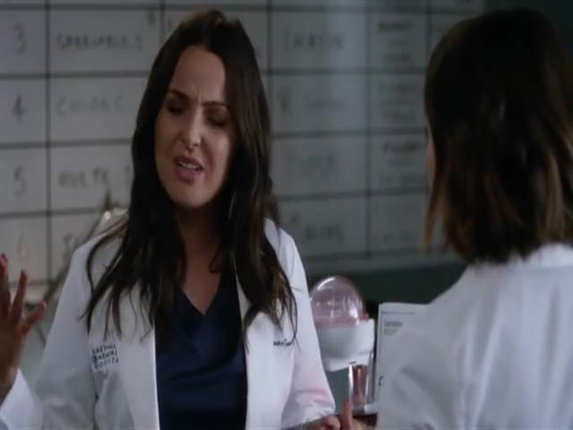 Анатомия страсти 16 сезон 13 серия