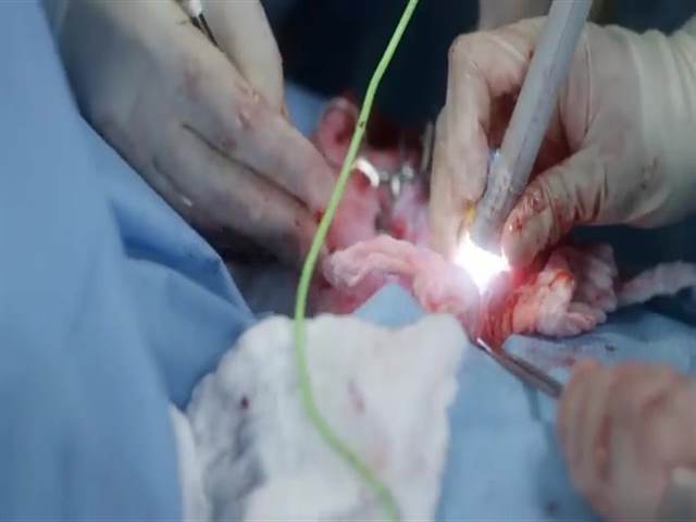 17 сезон 12 кадр 4