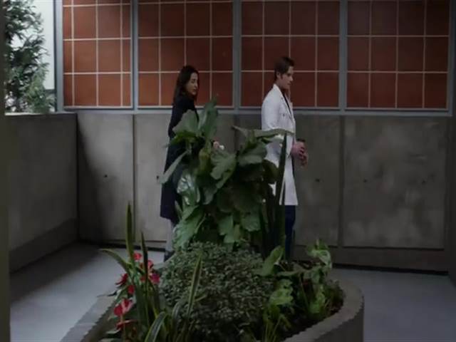 Анатомия страсти 18 сезон 13 серия