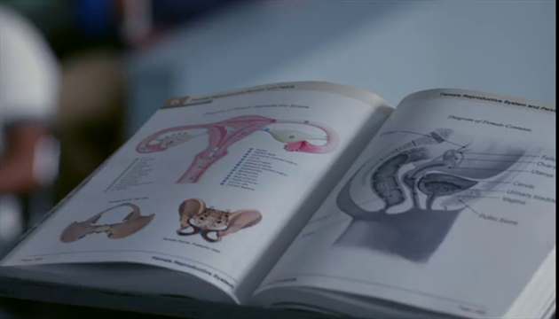 19 сезон 3 кадр 3