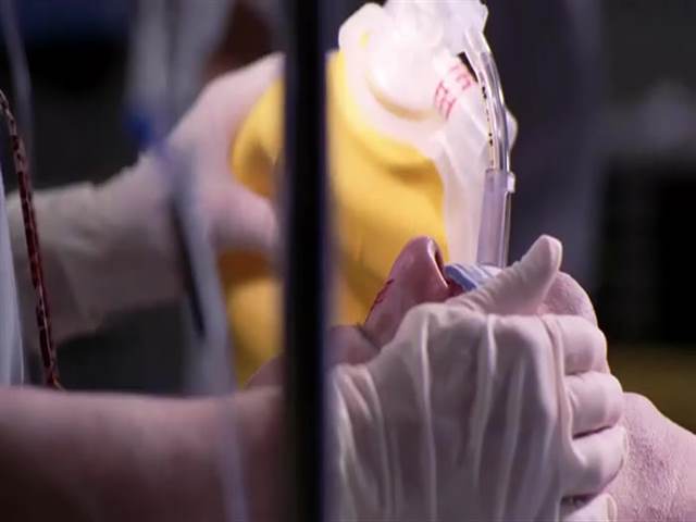 2 сезон 25 кадр 3