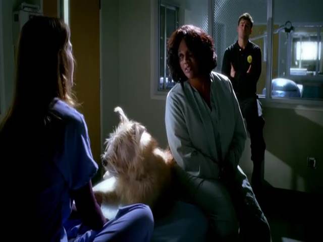 Анатомия страсти 3 сезон 17 серия