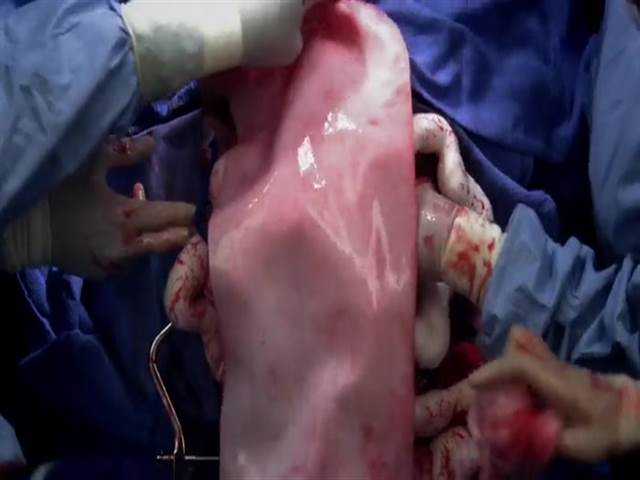 4 сезон 12 кадр 3